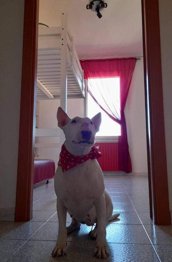 Bologna Homestay Bed & Breakfast
